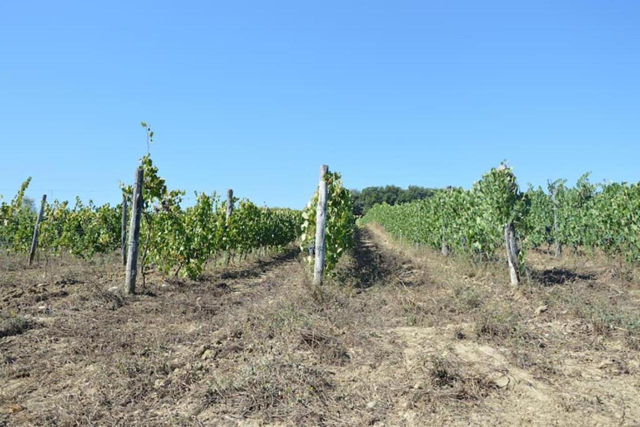 Agriturismo Fattoria Di Statiano Pomarance Eksteriør billede